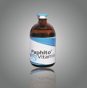 Paphito Vitamin